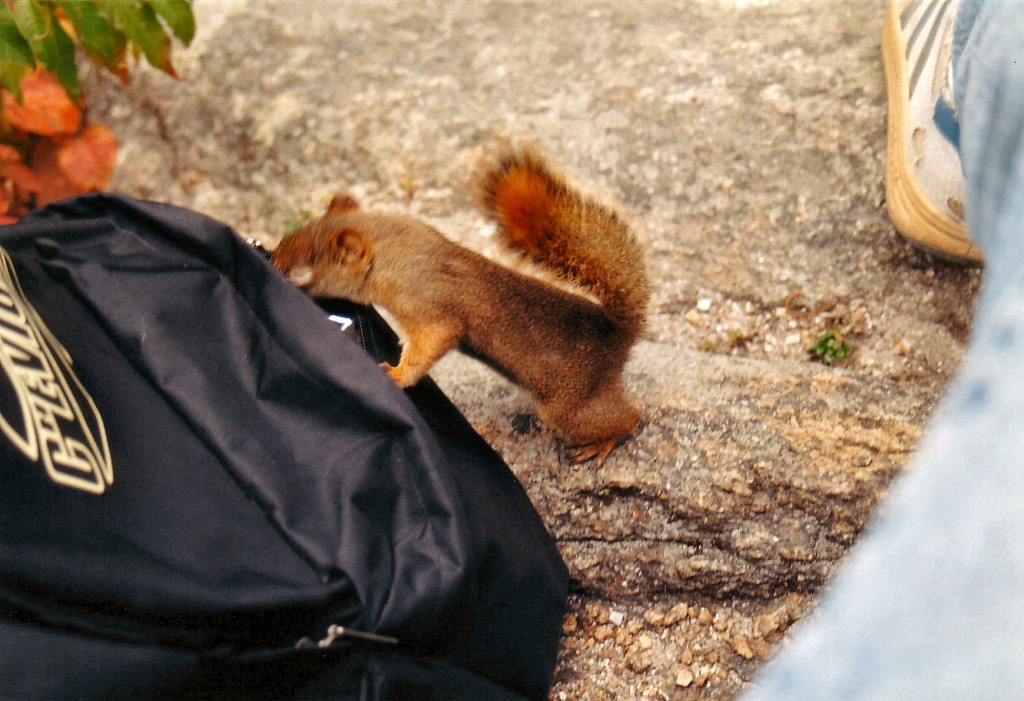 04 - Saguenay (9).jpg